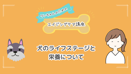 犬のライフステージと栄養について