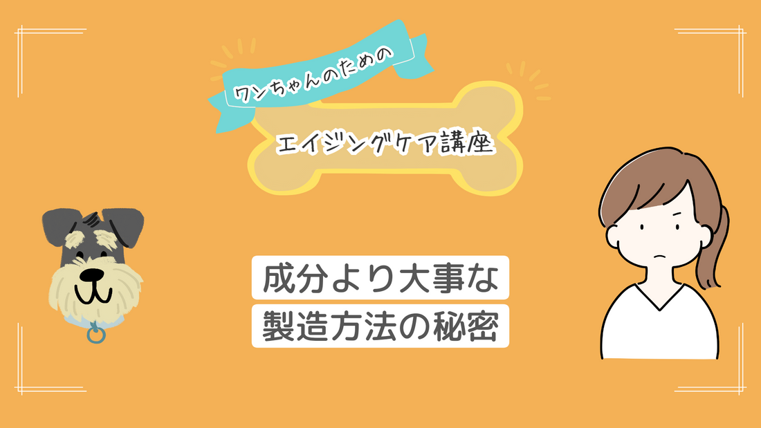 シニア犬のおやつ選び、成分表示より「製造方法」を見るべき理由｜GDFを守る低温製造とは