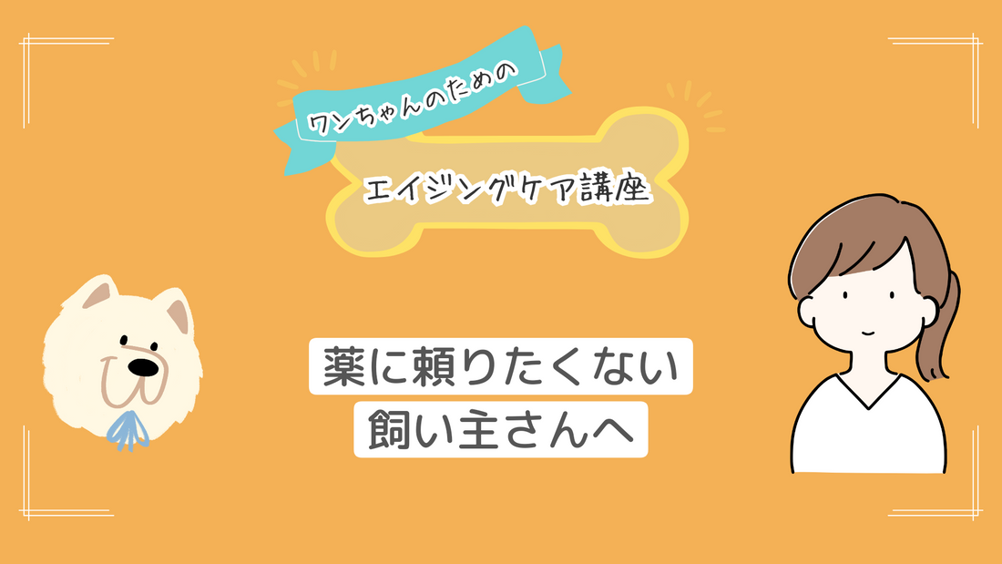 ステロイドに頼りたくない飼い主へ——プラセンタ・羊膜補完療法の最新エビデンスをわかりやすく解説