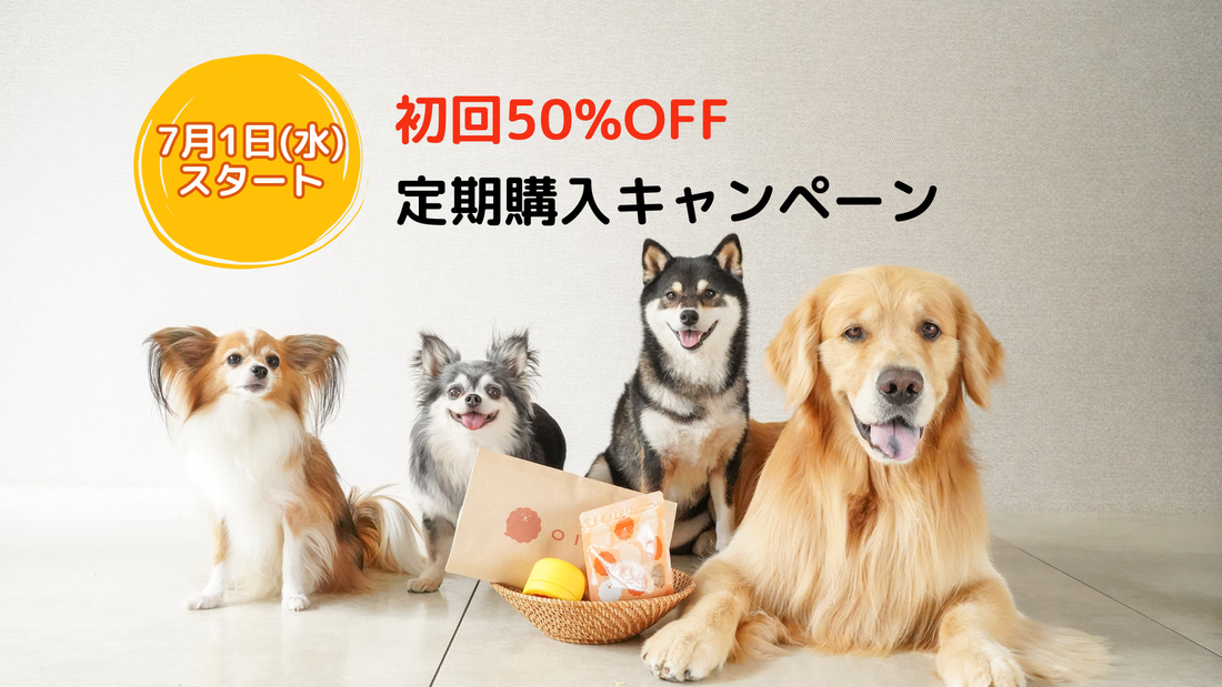定期購入 初回50%OFF × LINE連携送料無料、併用でもっとお得に！